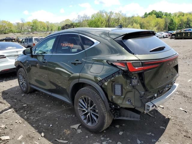 2023 Lexus NX 350