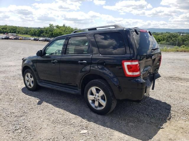 2011 Ford Escape XLT