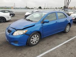 Toyota salvage cars for sale: 2010 Toyota Corolla Base