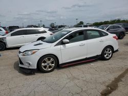 2014 Ford Focus SE for sale in Indianapolis, IN