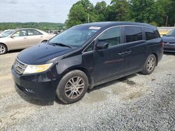 Honda salvage cars for sale: 2011 Honda Odyssey EXL