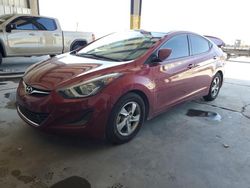 Hyundai Elantra salvage cars for sale: 2014 Hyundai Elantra SE