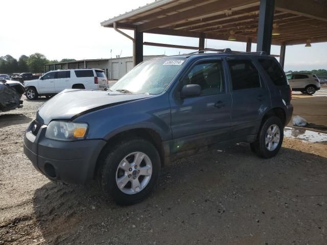 2005 Ford Escape XLT