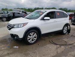 2014 Honda CR-V EXL en venta en Louisville, KY