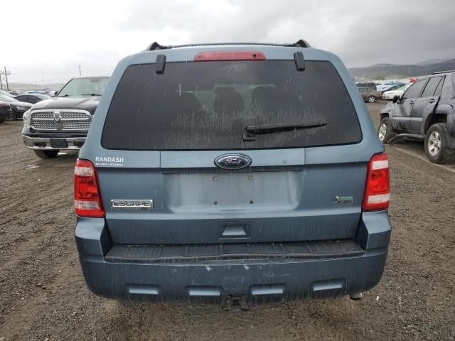 2011 Ford Escape XLT