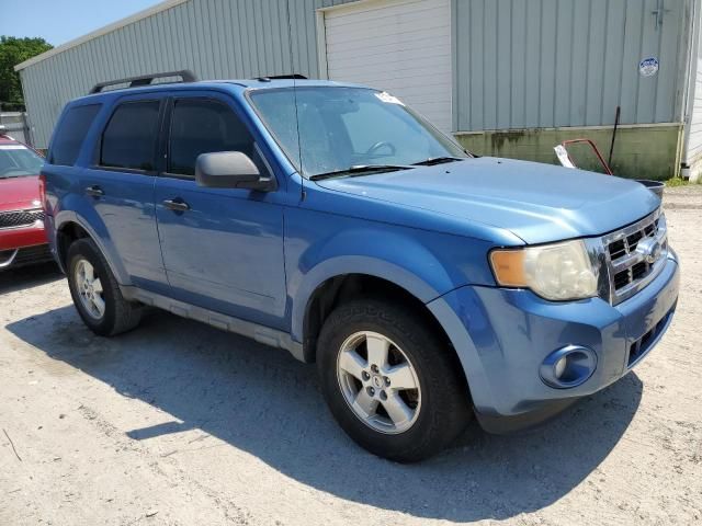 2009 Ford Escape XLT