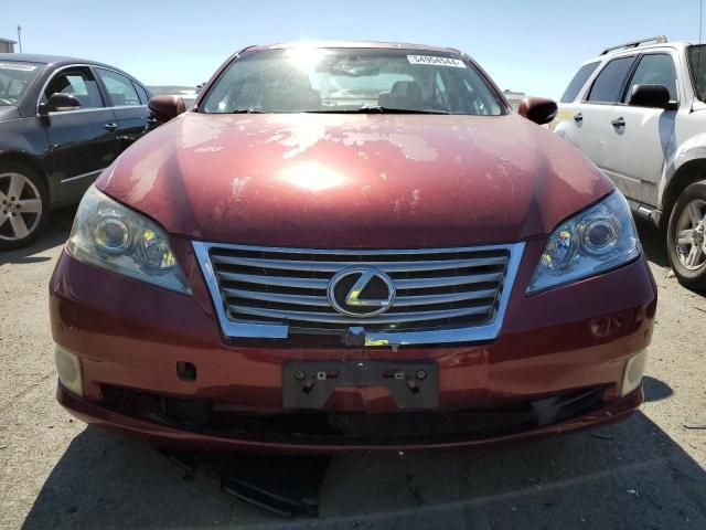 2010 Lexus ES 350