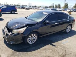 Honda salvage cars for sale: 2015 Honda Accord Touring