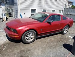 Ford Mustang salvage cars for sale: 2009 Ford Mustang