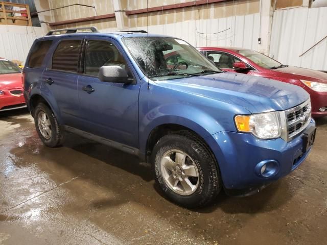 2009 Ford Escape XLT