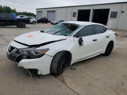 Nissan salvage cars for sale: 2017 Nissan Maxima 3.5S