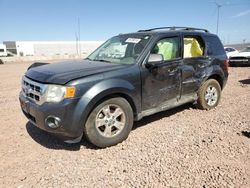 2009 Ford Escape XLT en venta en Phoenix, AZ