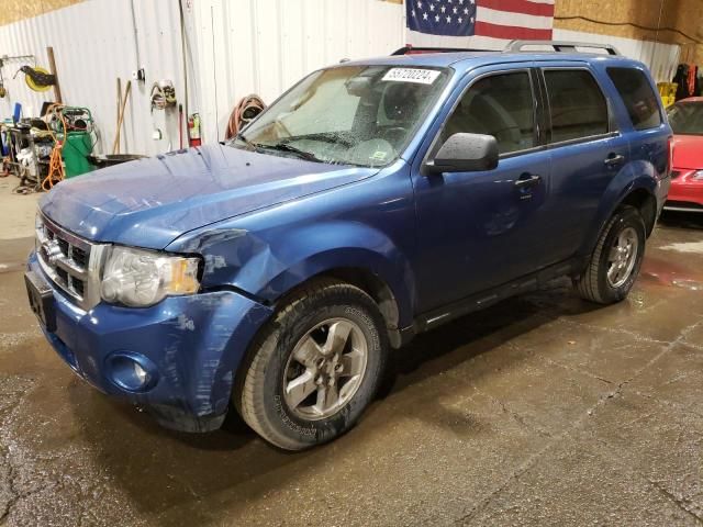 2009 Ford Escape XLT