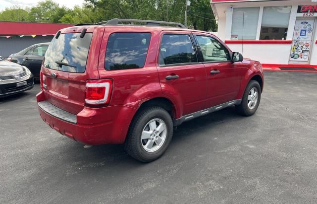 2009 Ford Escape XLT