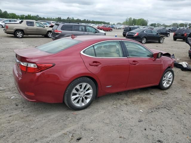 2014 Lexus ES 300H