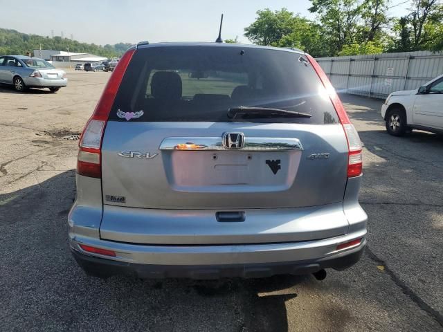 2010 Honda CR-V EX