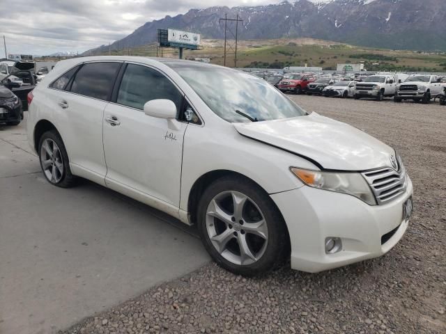 2009 Toyota Venza