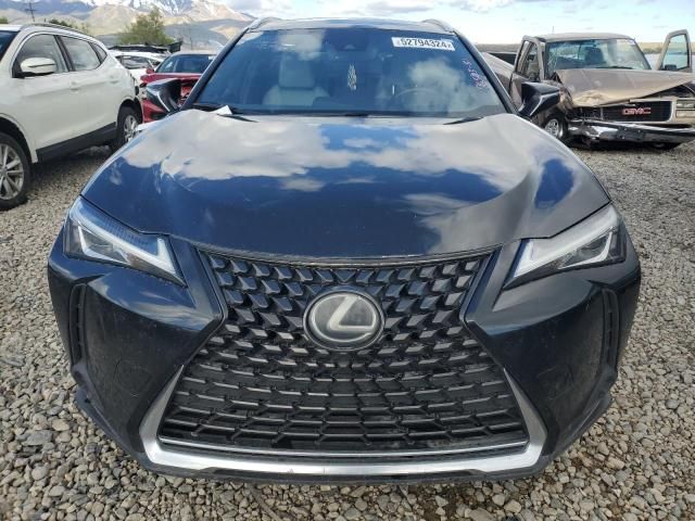 2019 Lexus UX 200