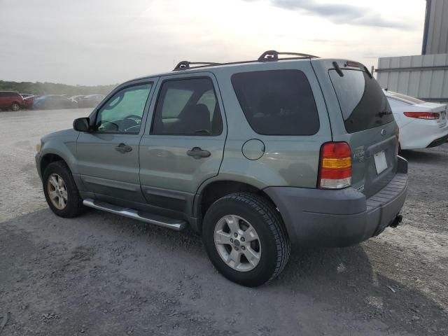 2007 Ford Escape XLT