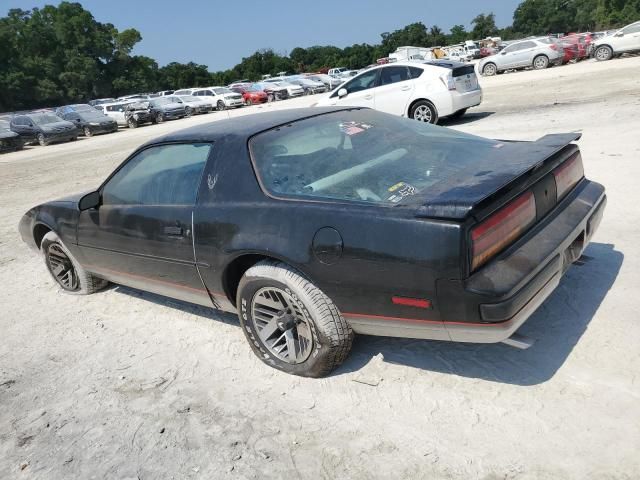 1989 Pontiac Firebird