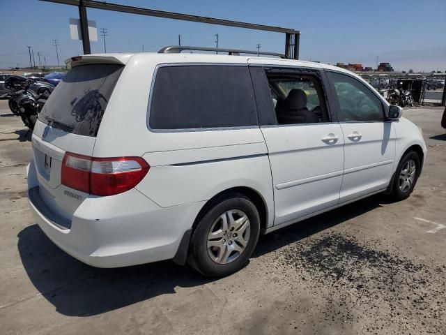 2005 Honda Odyssey EXL