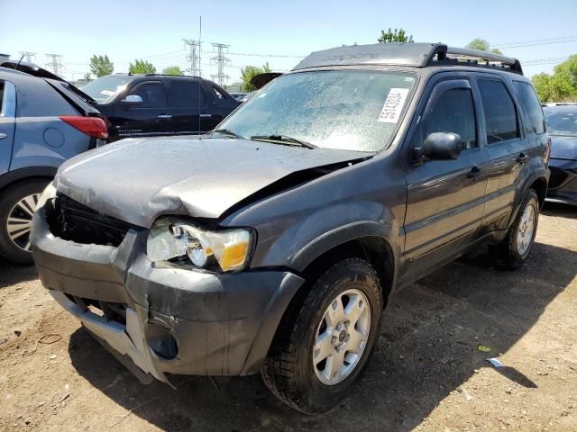 2005 Ford Escape XLT