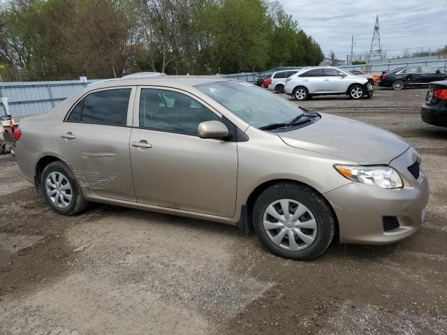 2010 Toyota Corolla Base