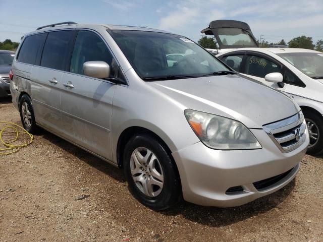 2005 Honda Odyssey EXL