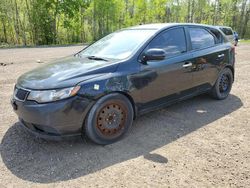 Vehiculos salvage en venta de Copart Bowmanville, ON: 2013 KIA Forte EX