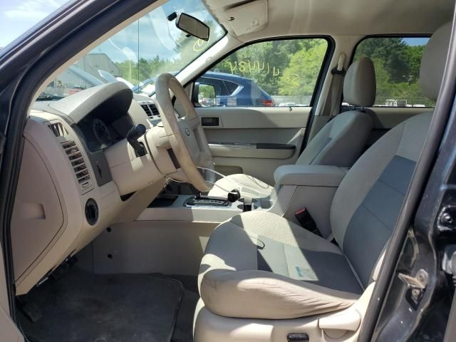 2008 Ford Escape XLT