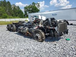 Freightliner Cascadia 126 Vehiculos salvage en venta: 2022 Freightliner Cascadia 126