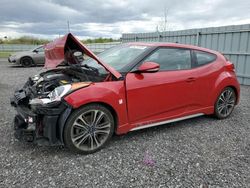 Salvage cars for sale from Copart Ottawa, ON: 2016 Hyundai Veloster Turbo