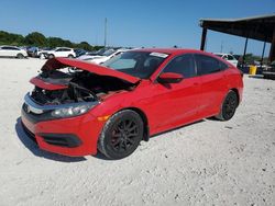 Salvage cars for sale from Copart Homestead, FL: 2016 Honda Civic LX