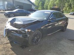 Alfa Romeo Giulia salvage cars for sale: 2019 Alfa Romeo Giulia