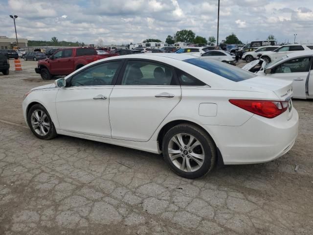 2011 Hyundai Sonata SE