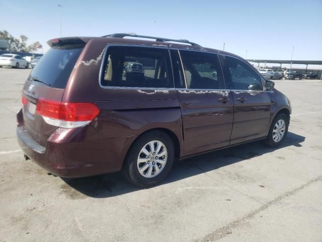 2009 Honda Odyssey EXL