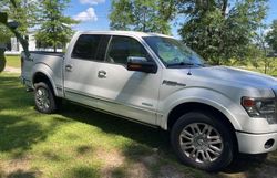 Ford salvage cars for sale: 2013 Ford F150 Supercrew