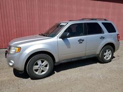 2012 Ford Escape XLT en venta en London, ON