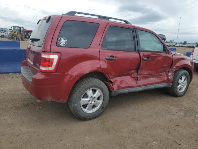 2010 Ford Escape XLT