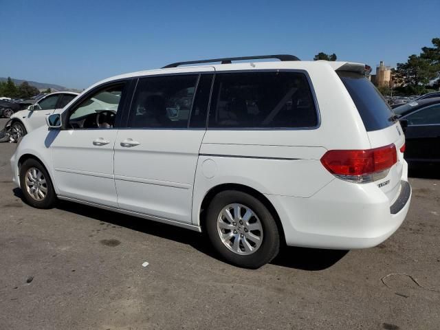 2010 Honda Odyssey EXL