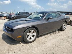 Dodge salvage cars for sale: 2013 Dodge Challenger SXT