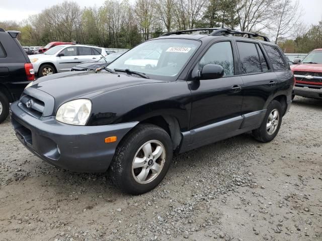 2006 Hyundai Santa FE GLS