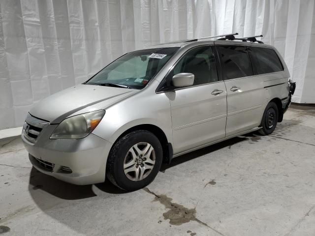 2005 Honda Odyssey EXL