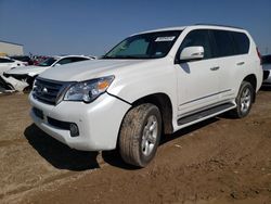 Salvage cars for sale from Copart Amarillo, TX: 2013 Lexus GX 460