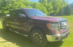 2010 Ford F150 Supercrew for sale in Bowmanville, ON