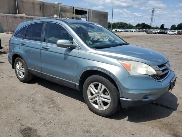 2010 Honda CR-V EXL