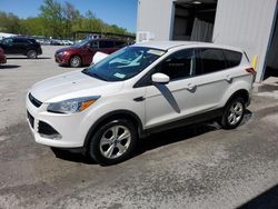 2015 Ford Escape SE for sale in Albany, NY
