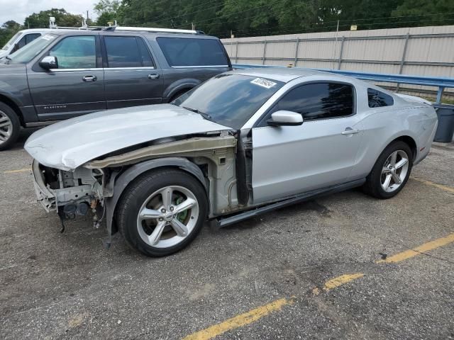 2010 Ford Mustang GT