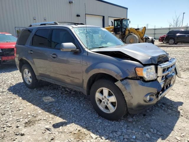 2009 Ford Escape Limited