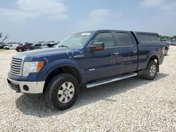 2011 Ford F150 Supercrew en venta en San Antonio, TX
